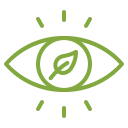 Vision icon